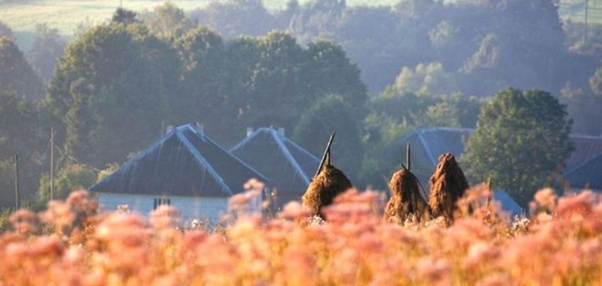 Украинские фотографы показали роскошь лета в Карпатах: потрясающие снимки