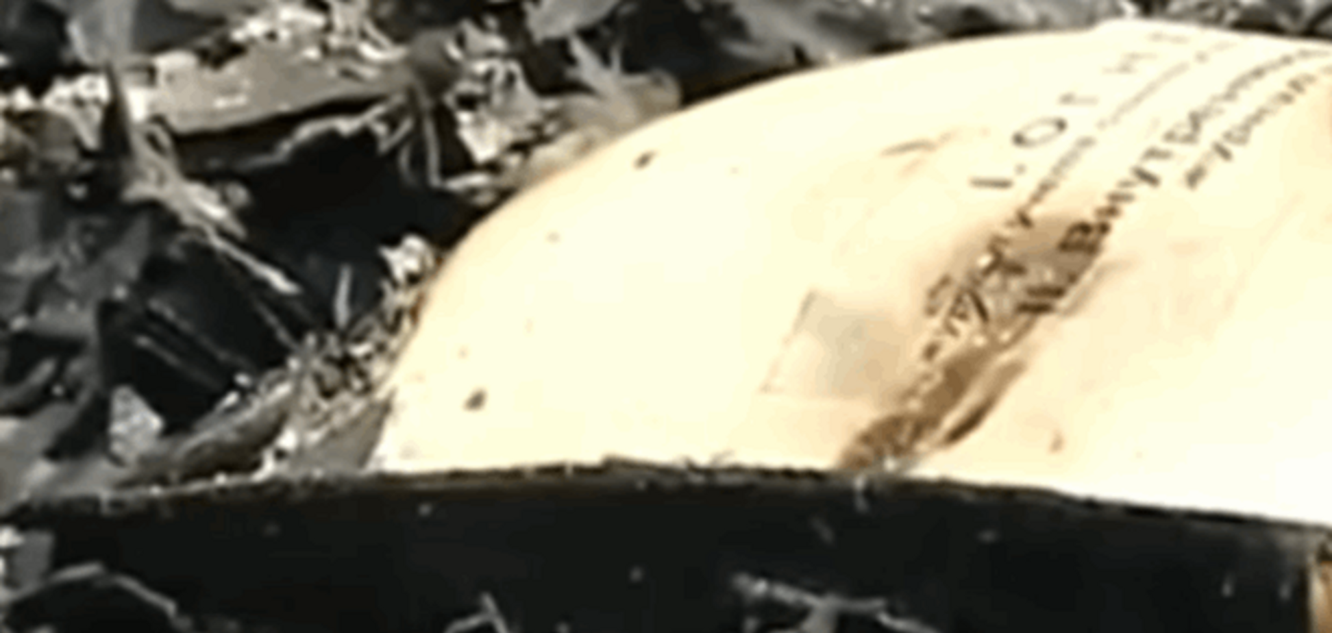 В России в детском лагере устроили костер из книг о подвигах: видеофакт