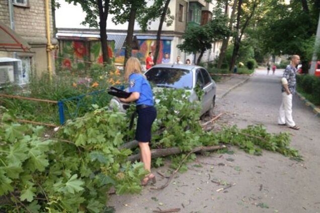 В Харькове на женщину с младенцем рухнуло дерево: опубликованы фото