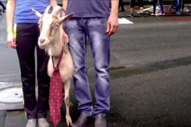 В Одесі 'антимайдановці' і коза вимагали відставки Саакашвілі: фото- і відеофакт