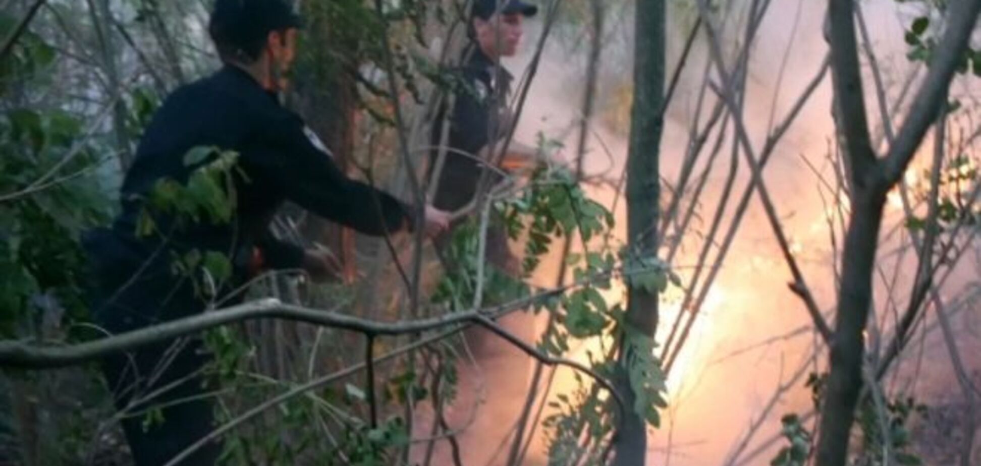 У Києві поліцейські гасили лісову пожежу: відеофакт