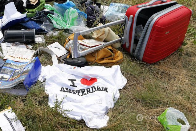 Крушение Boeing-777: МИД России объяснил, почему испугался трибунала