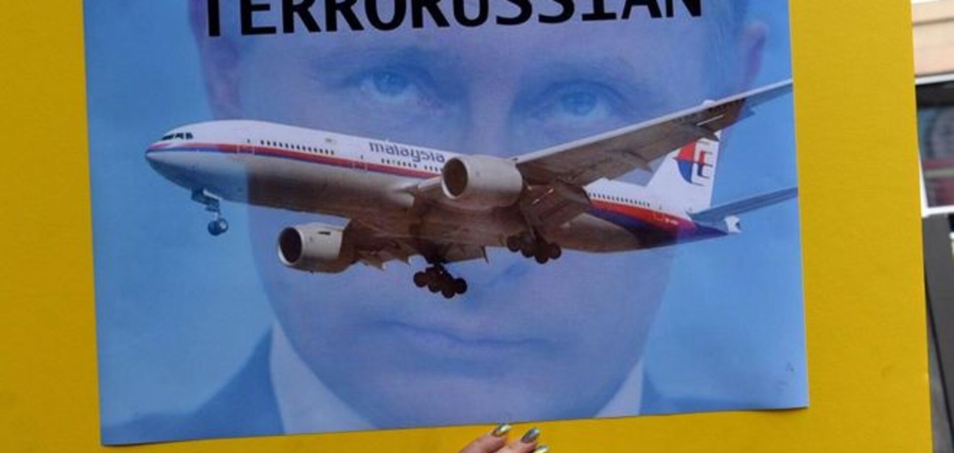 Піонтковський пояснив страх Росії перед трибуналом по Boeing-777