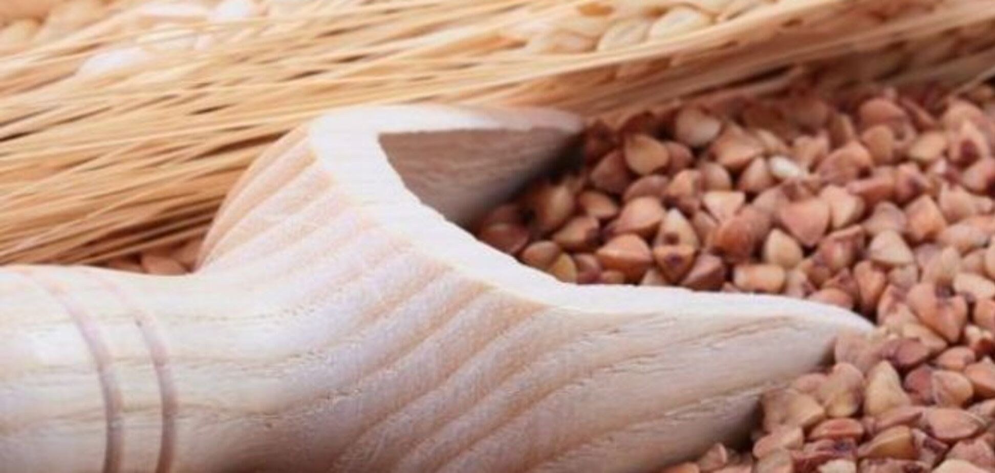 'Аграрный фонд' перейдет на электронные закупки