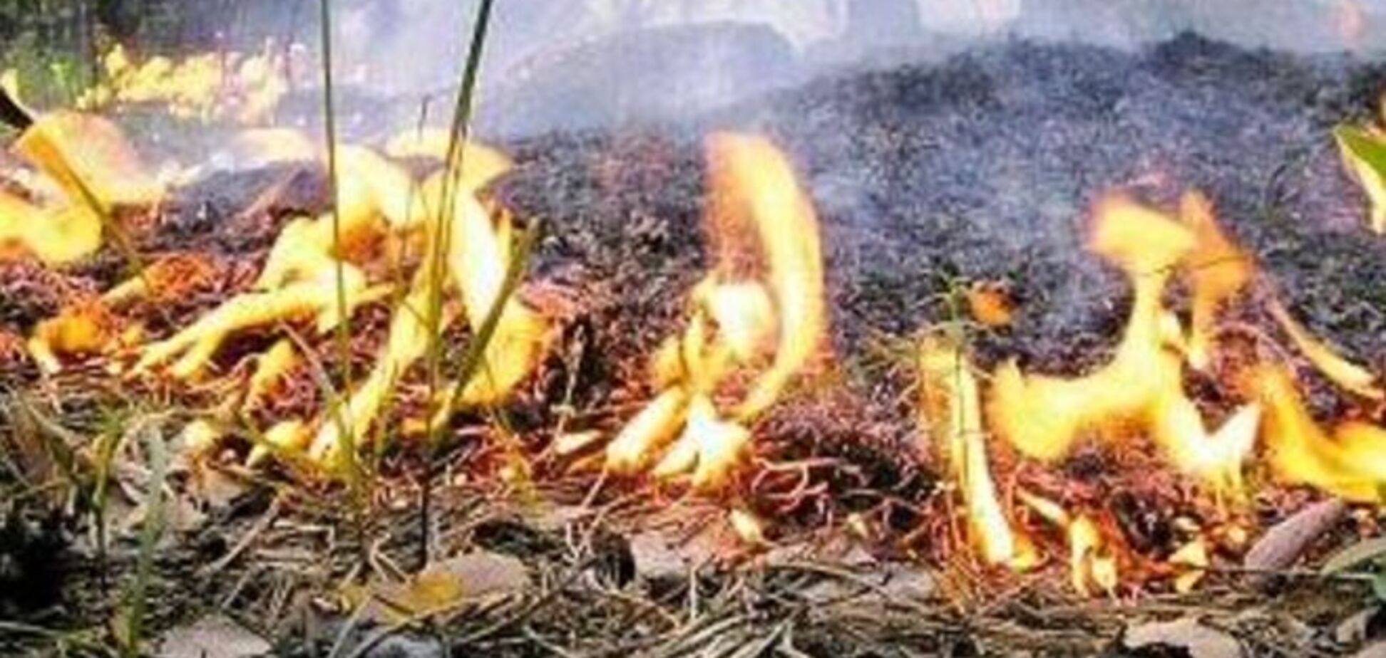 В Киеве на Трухановом острове произошел масштабный пожар