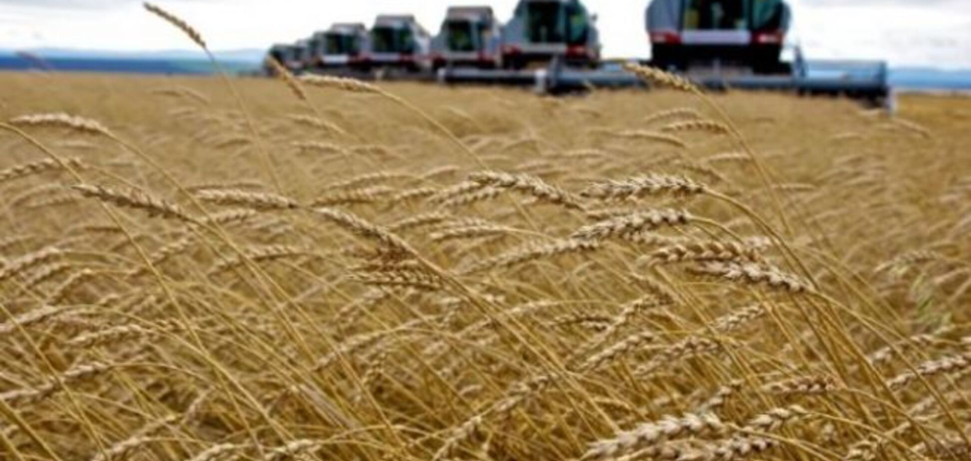 Законопроект 2527 допоможе аграріям з відшкодуванням вхідного ПДВ - нардеп