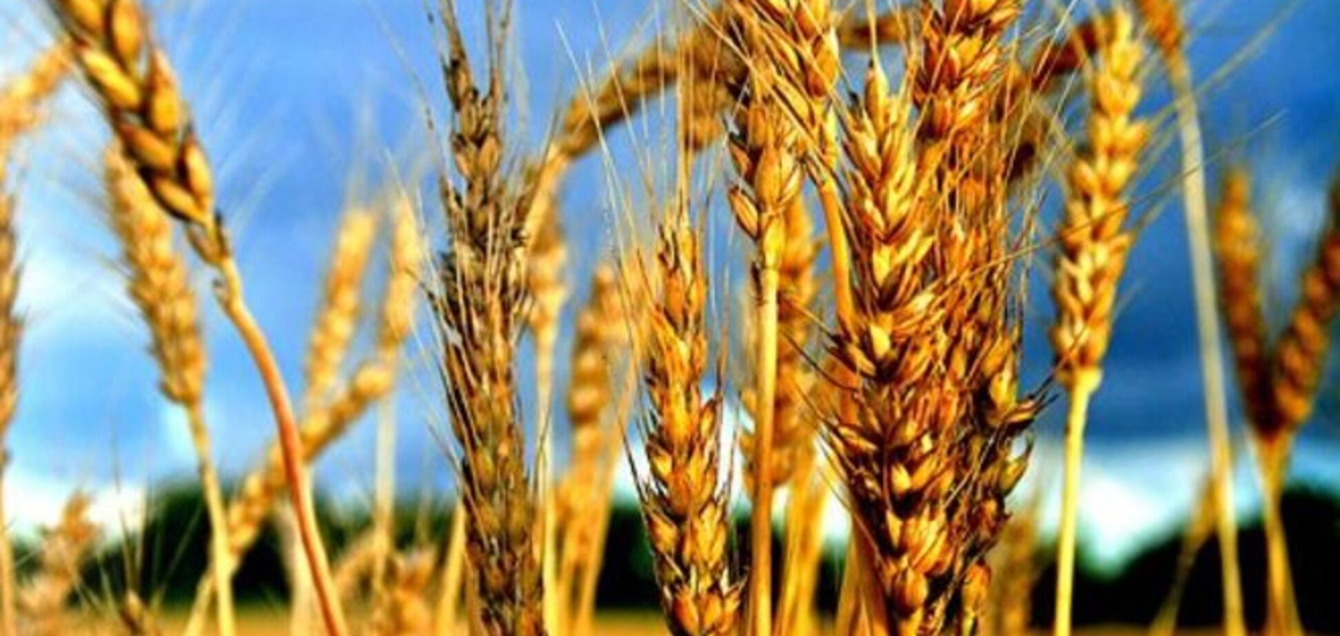 В Минагропрод намерены бороться за налоговые льготы для аграриев