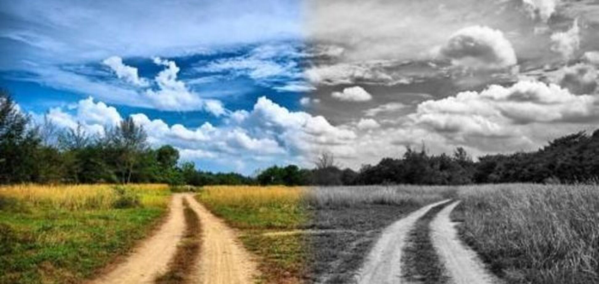 Мы потеряли больше 25 лет, допустили принципиальную ошибку в выборе вектора движения