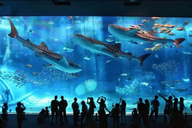 Вместо тысячи слов: 20 потрясающих фото, которые показывают, как удивителен мир