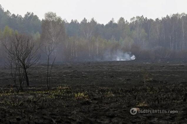 Спасатели остановили фронт пожара в чернобыльской зоне