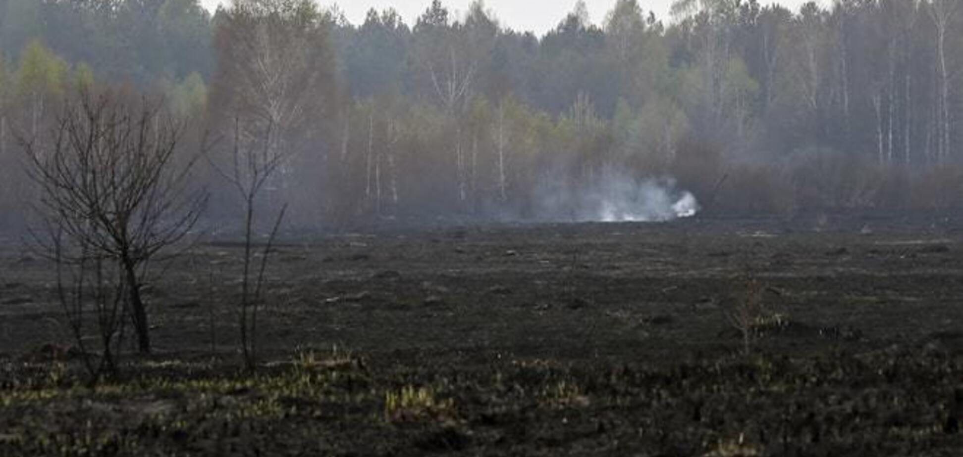 Спасатели остановили фронт пожара в чернобыльской зоне
