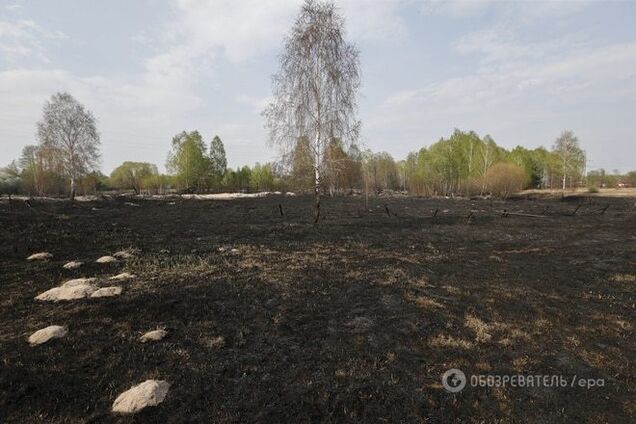 Пожар в зоне ЧАЭС: Гидрометцентр рассказал, куда подует ветер из Чернобыля