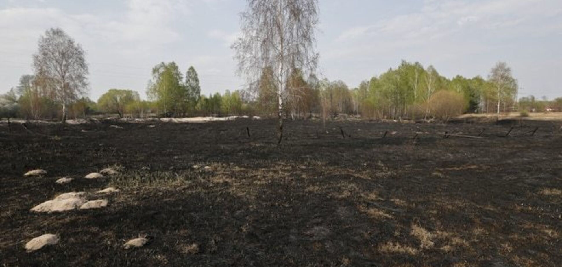 Пожар в зоне ЧАЭС: Гидрометцентр рассказал, куда подует ветер из Чернобыля