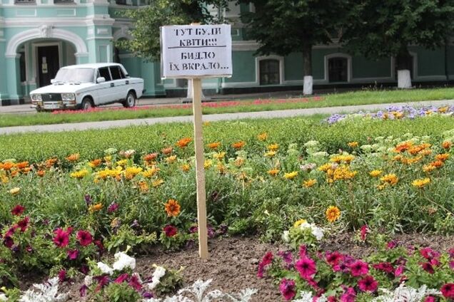 В Киеве вандалы уничтожили 9 тысяч цветов