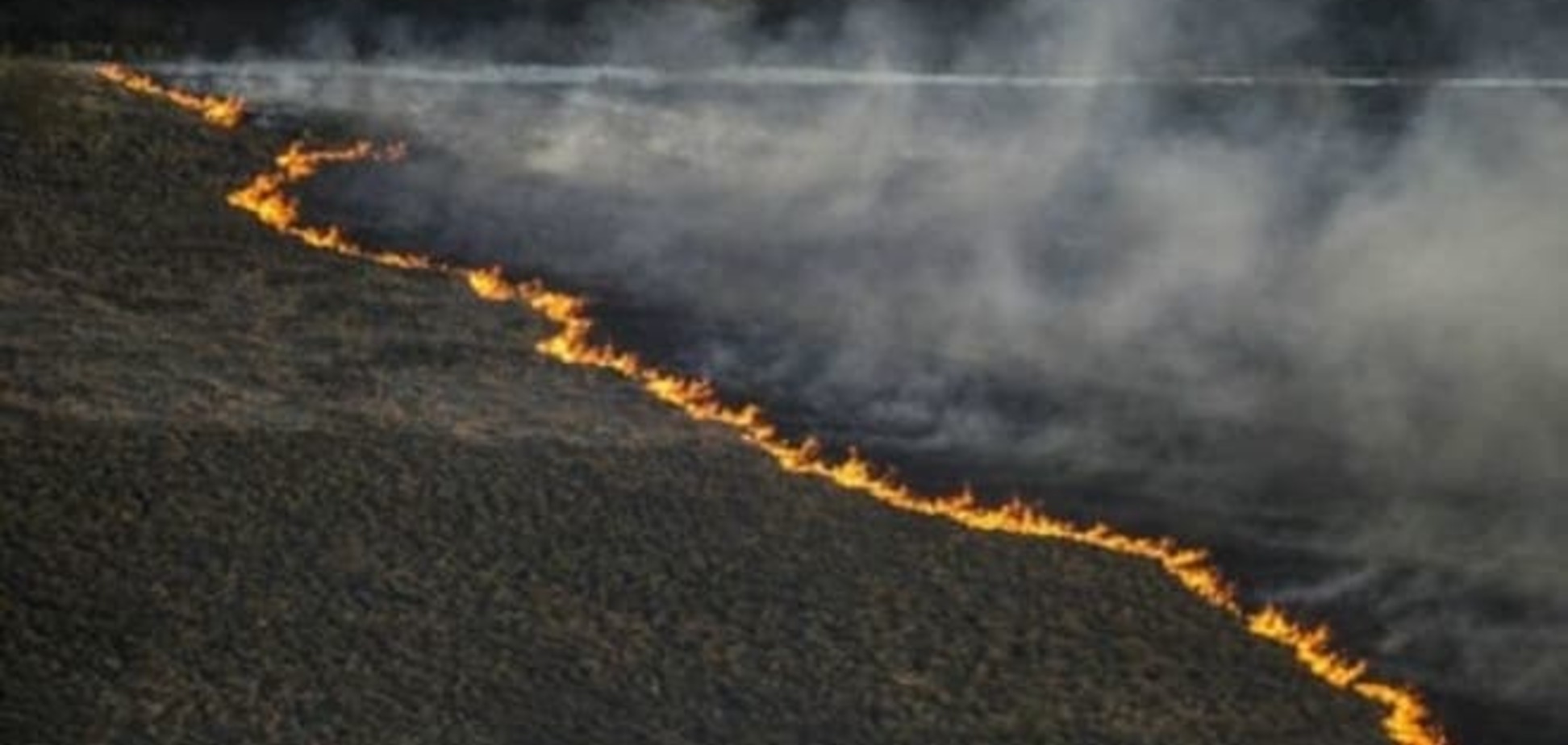 Пожар в зоне ЧАЭС: продолжают гореть 60 гектаров леса