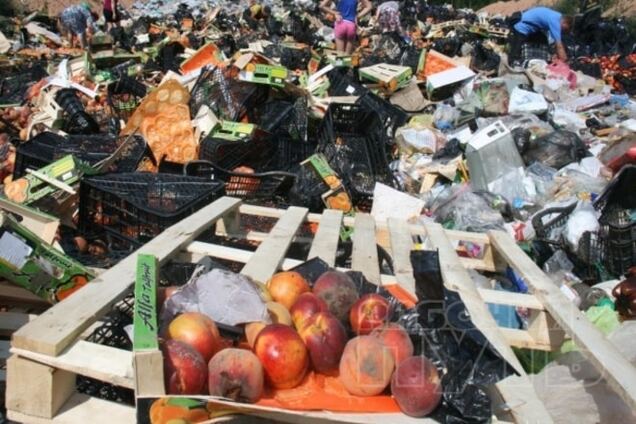 Безумная оргия. Пионтковский объяснил, зачем Путин придумал сожжение еды