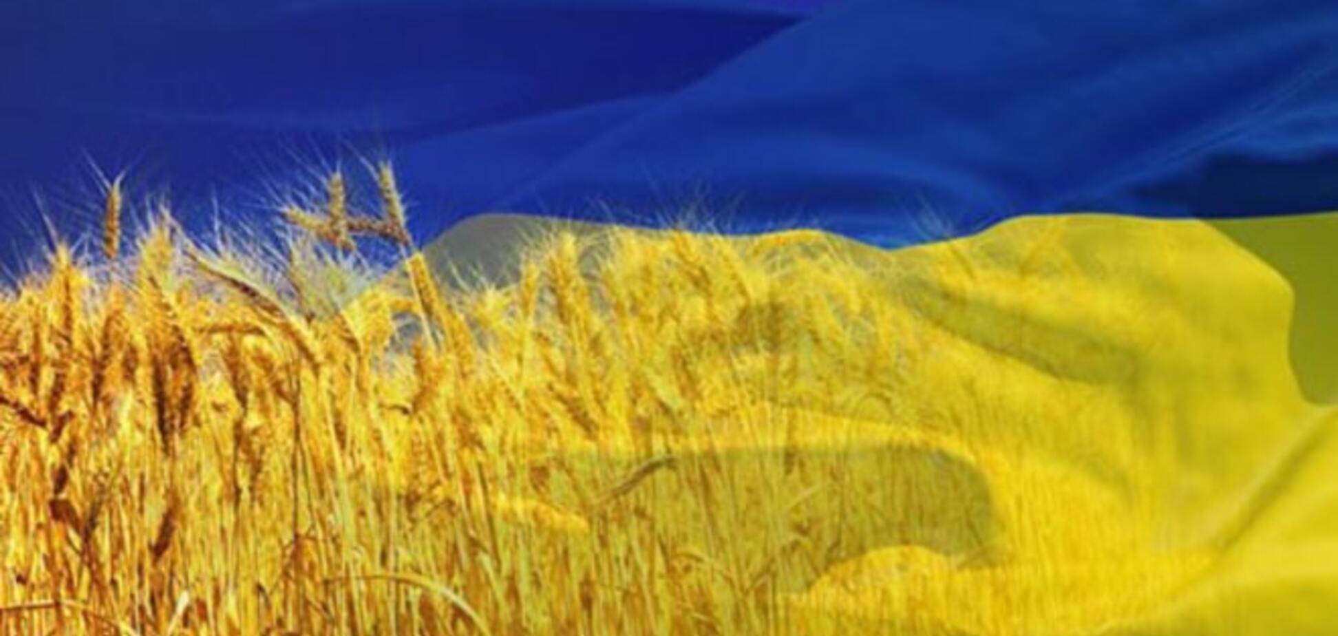 У Кабміні сподіваються, що Україна буде продовольчим кошиком світу 
