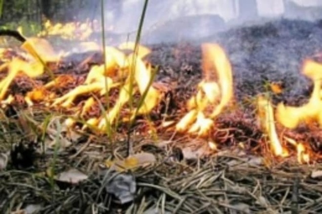 В Киеве из-за жары горели 7 гектаров травы