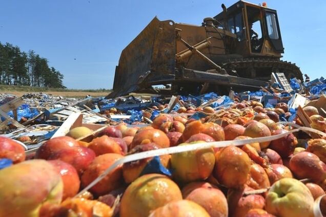 Россельхознадзор похвастался уничтожением 'санкционки' из ручной клади