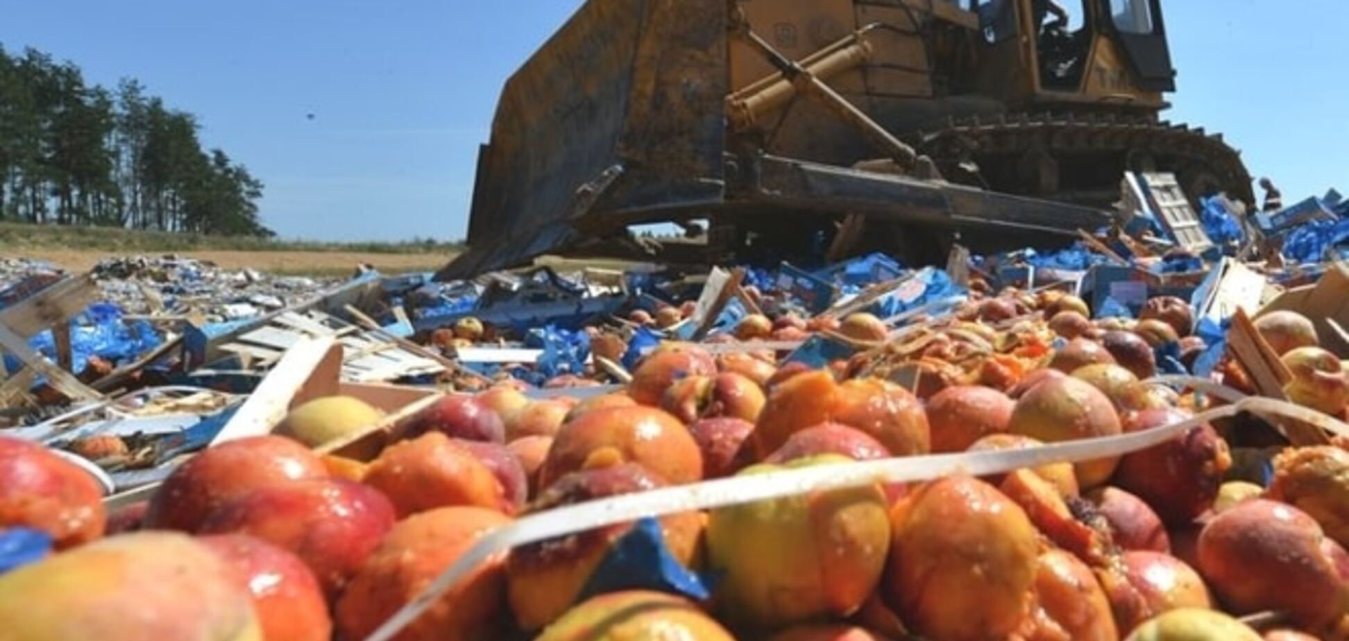 Россельхознадзор похвастался уничтожением 'санкционки' из ручной клади