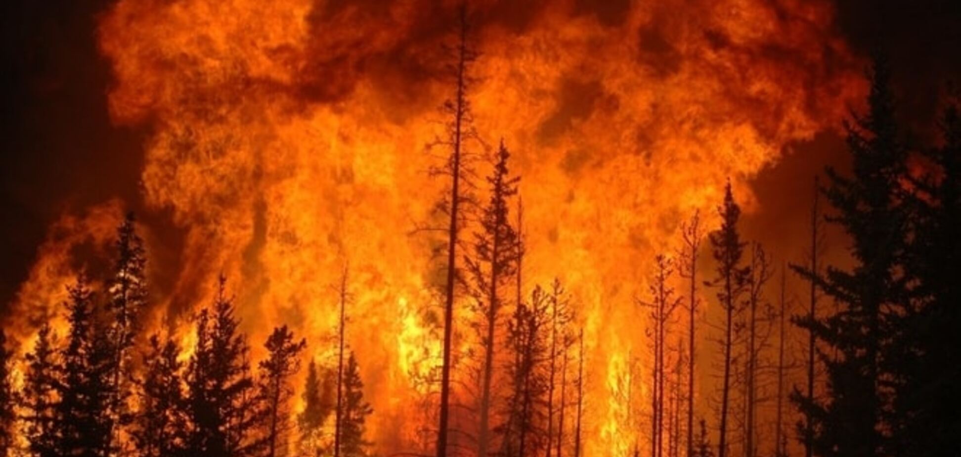 Бурятия в огне: в России пылает почти 100 тыс. гектаров леса