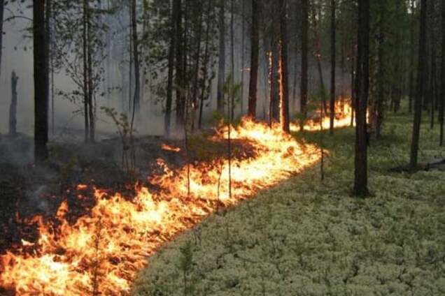 Спасатели предупредили о чрезвычайной пожарной опасности в Украине