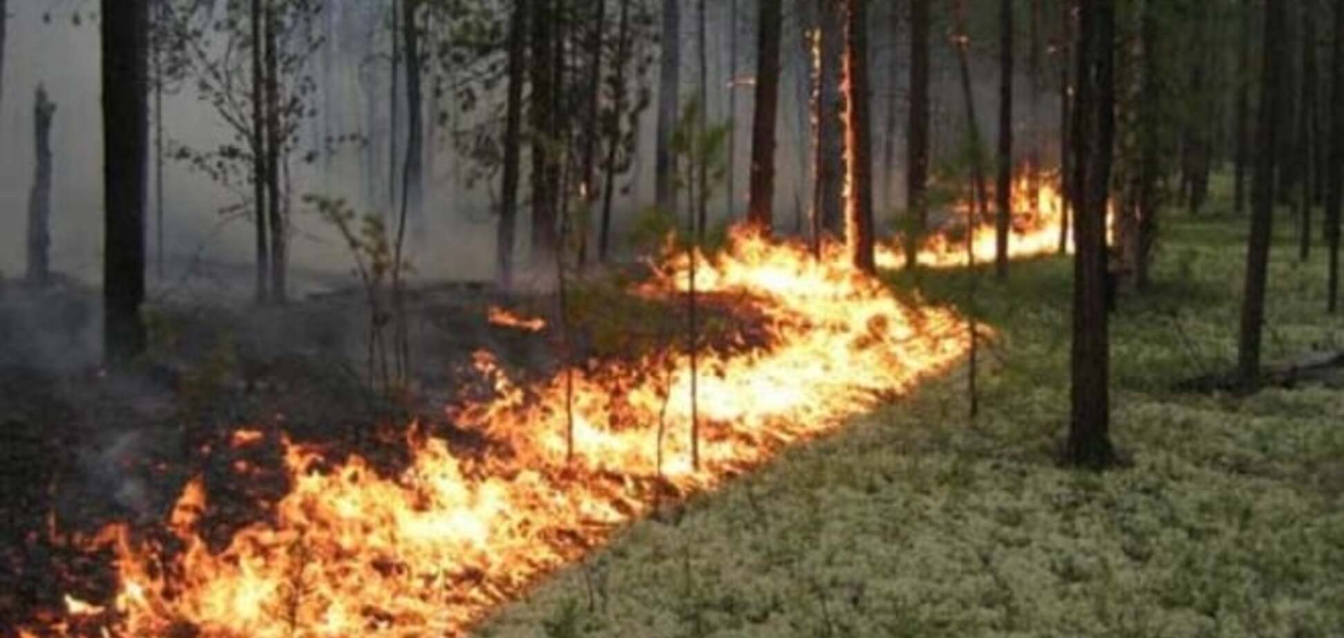 Рятувальники попередили про надзвичайну пожежну небезпеку в Україні