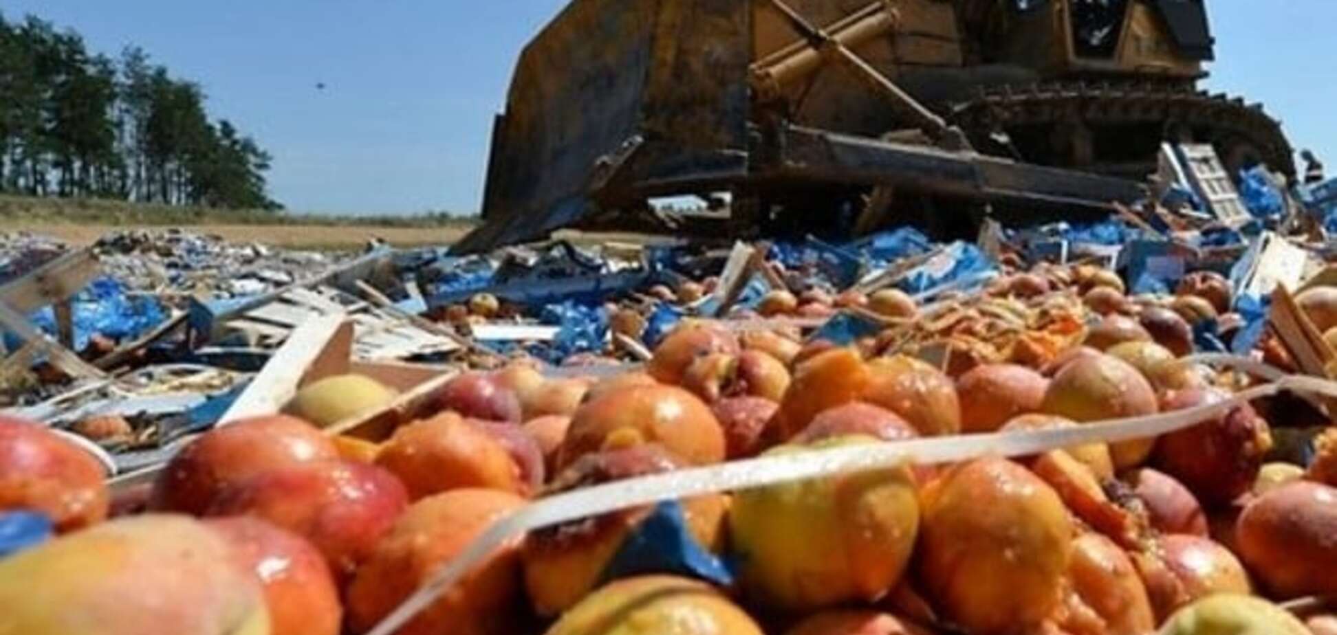 Россия решила уничтожать продукты из Украины