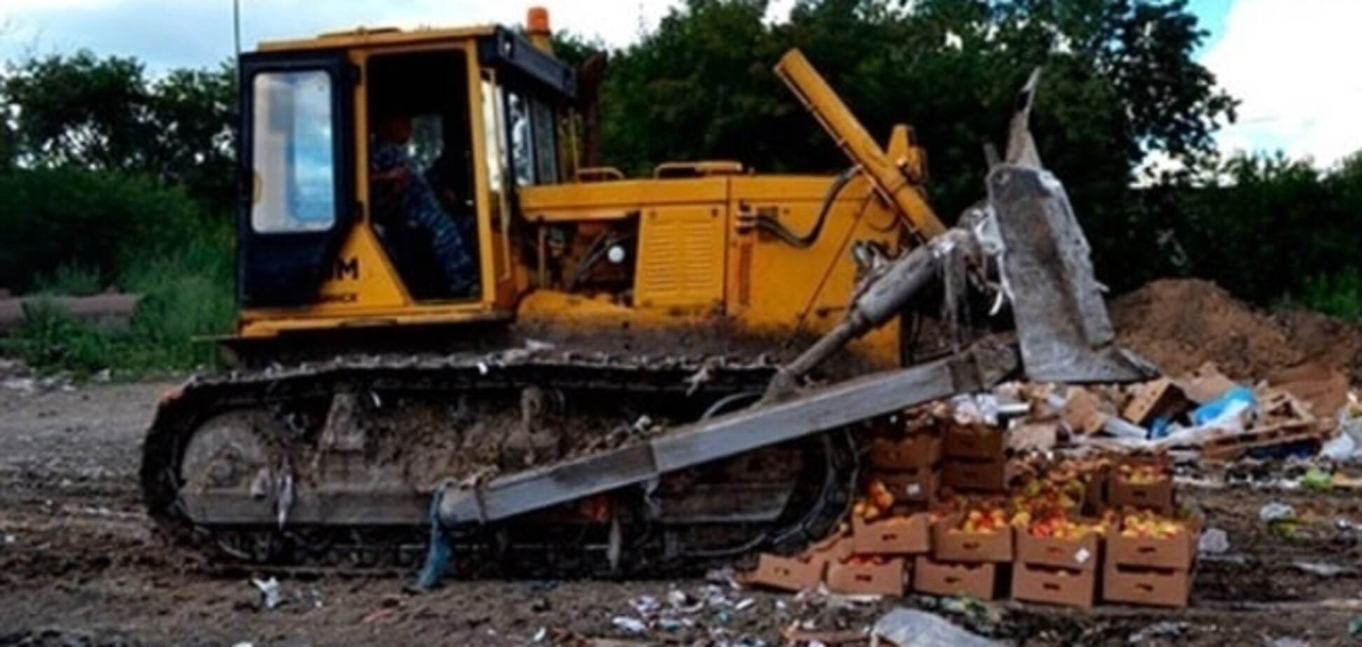 В стране 'чудес': в России за неделю уничтожили 500 тонн продуктов