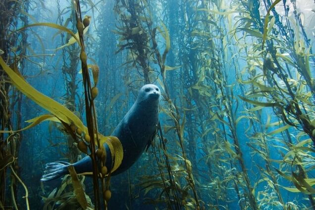 Потрясающая красота природы, которая не нуждается в фотошопе: завораживающие снимки