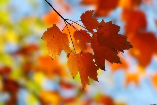 Синоптики дали довгостроковий прогноз погоди: інфографіка