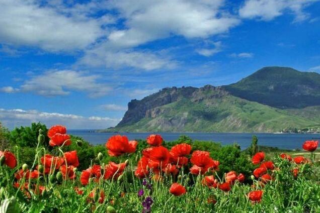 Яка погода чекає українців на вихідних: грози і спека до +36