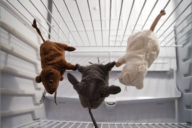 Антивирус – убийственный для русских