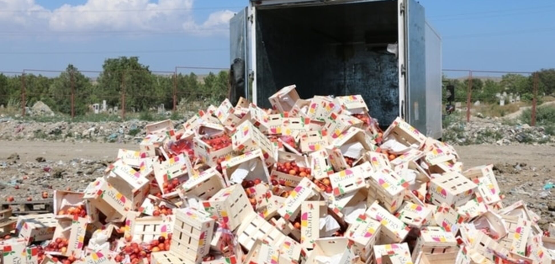 В Керчи бульдозером переехали 4 тонны нектарина: опубликованы фото