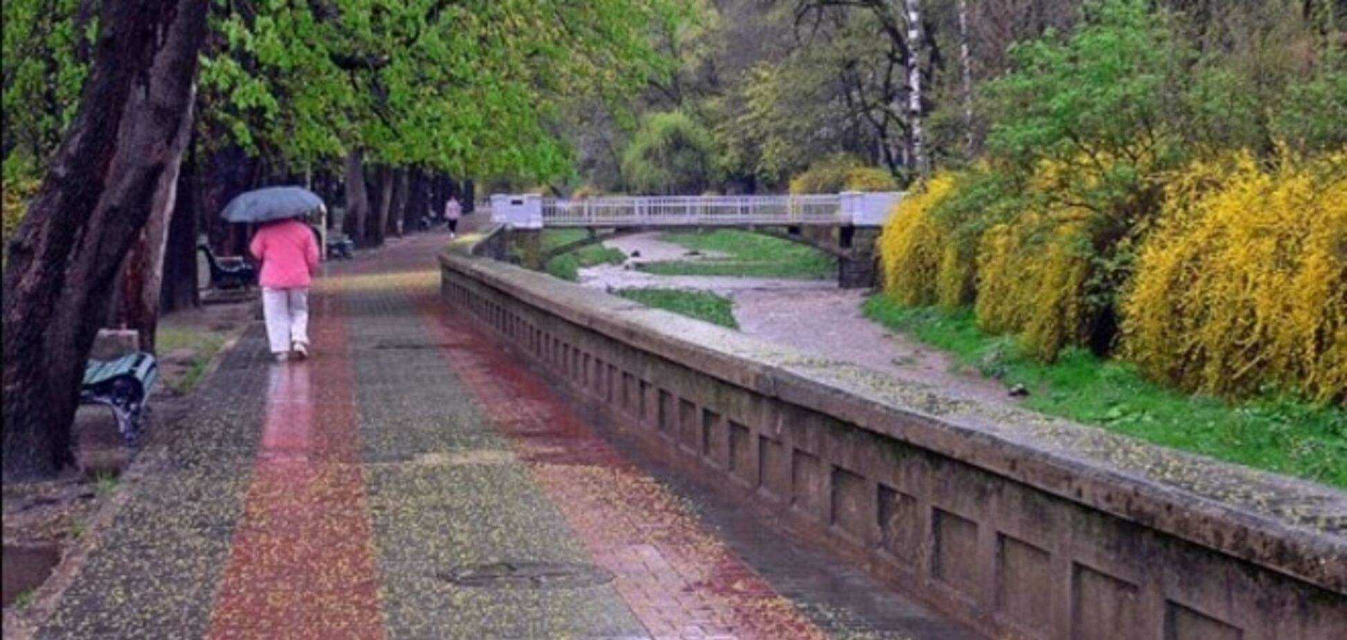 Жара отступает. На выходных украинцев ждут дожди