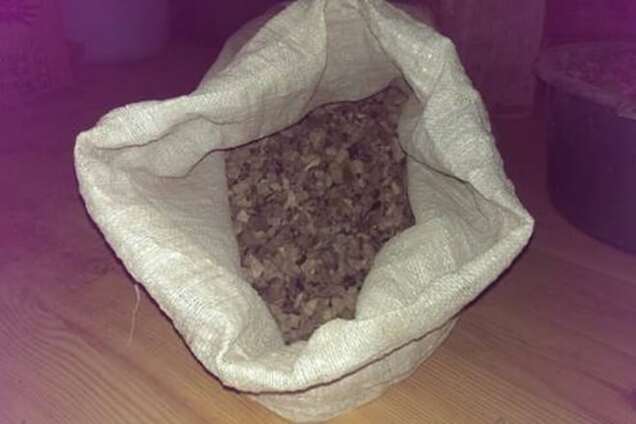 СБУ поймала россиянина с 400 кг янтаря