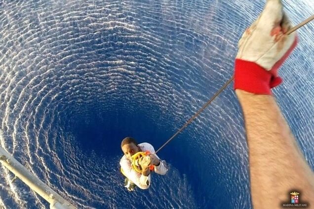 Персеиды, мигранты и улыбающиеся детеныши скатов: 20 лучших фото со всего мира