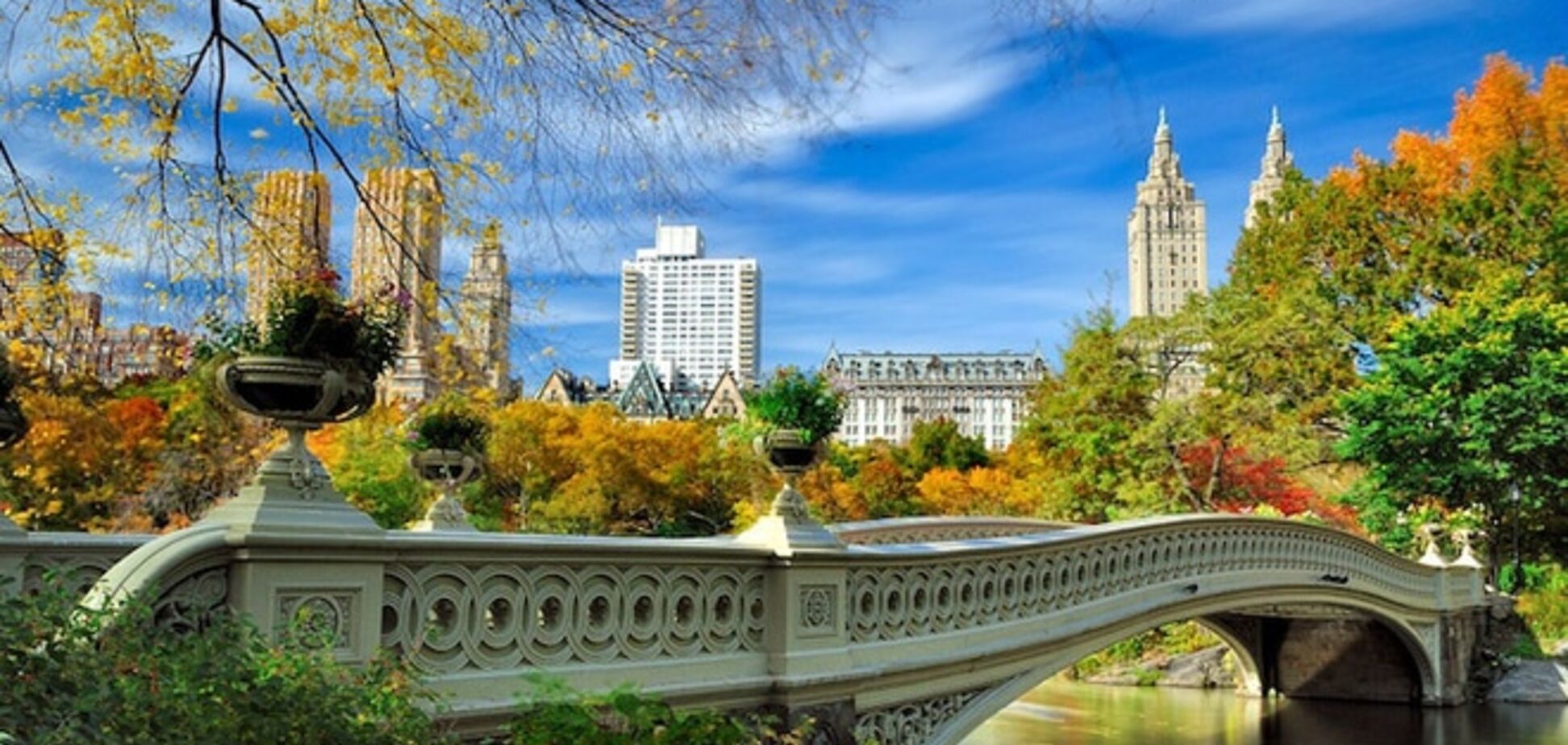 20 изумительных фотографий Центрального парка в Нью-Йорке