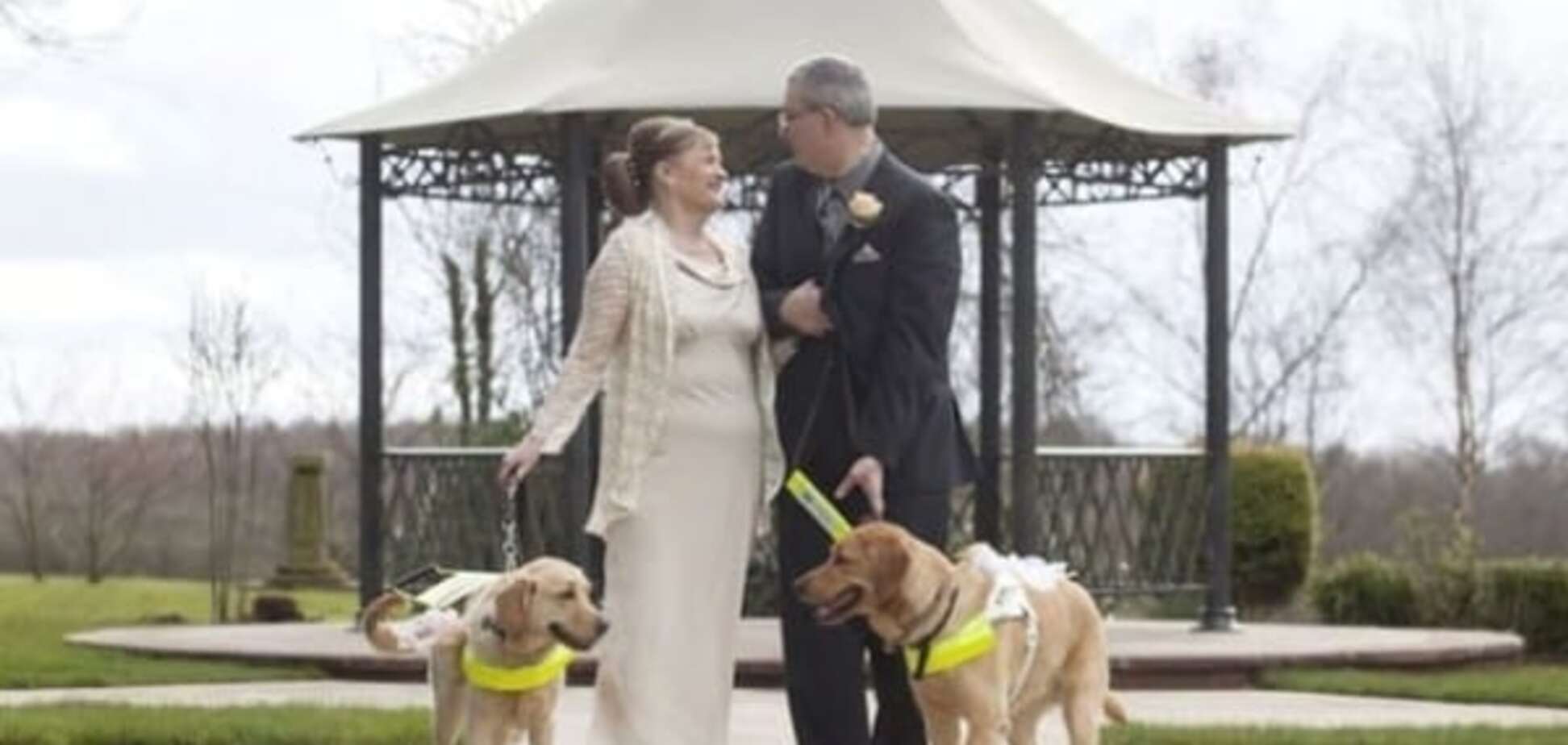Слабовидящая пара нашла друг друга благодаря собакам: невероятная история любви