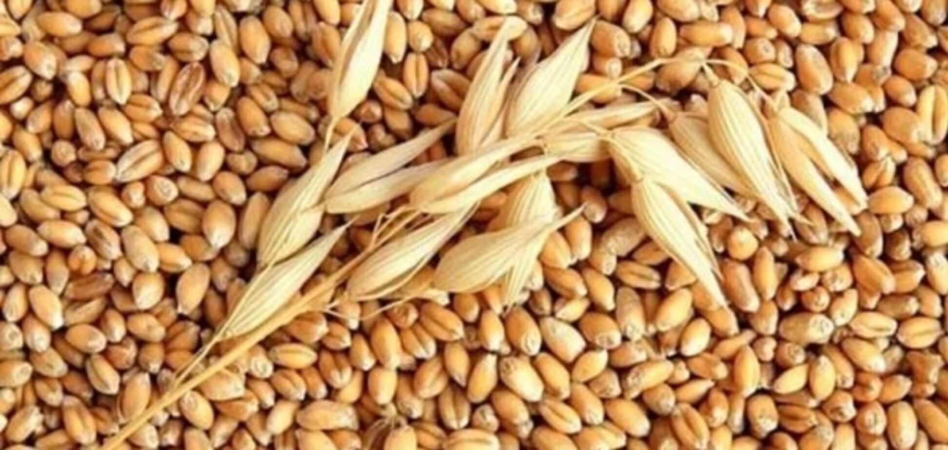 Аграрии поставили Аграрному фонду около 100 тыс. тонн зерна