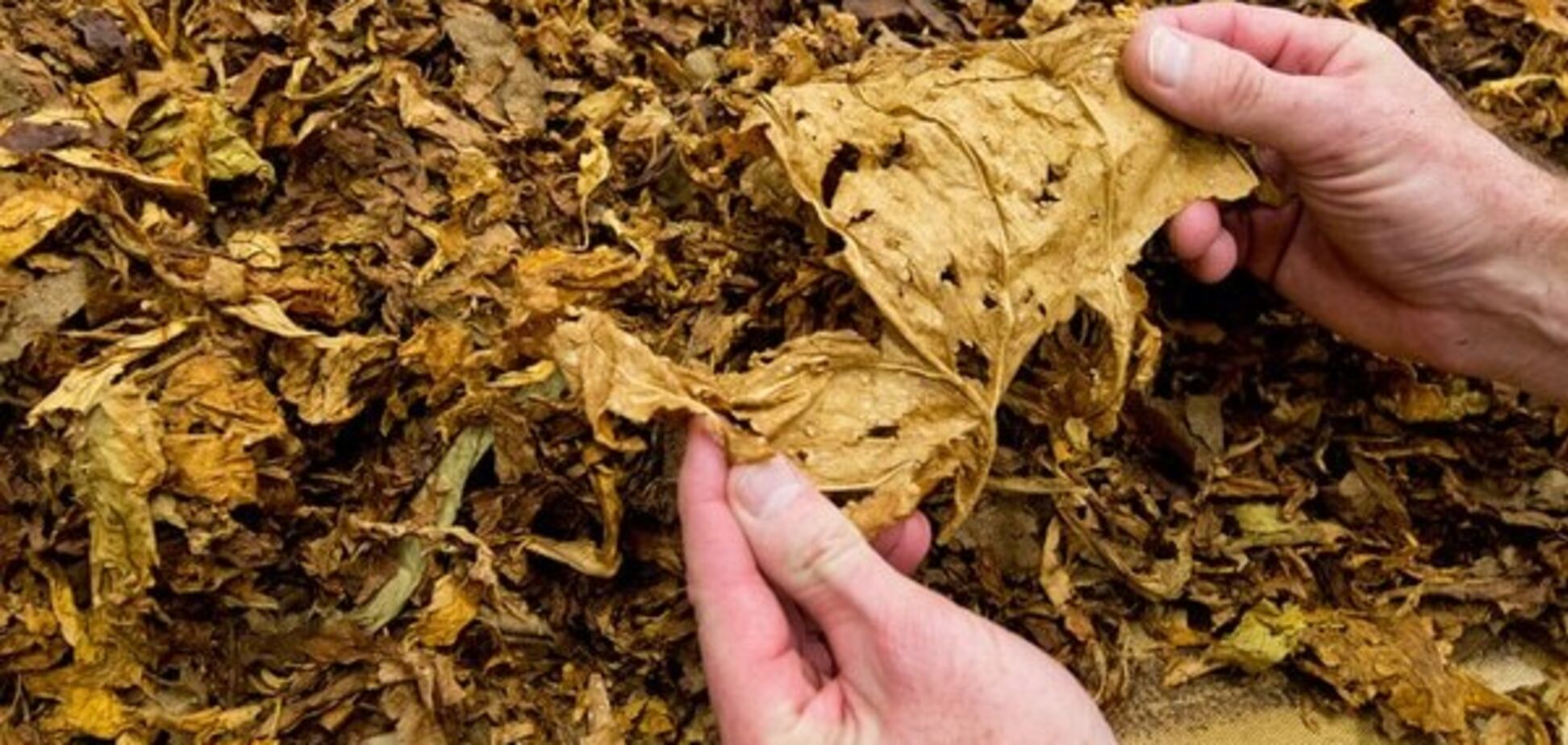 Дим Вітчизни: росіяни перейшли на дешеві сигарети