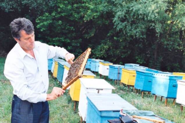 Хобби для президентов: ТОП-3 украинских политиков-пасечников