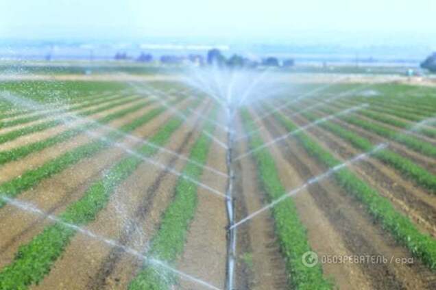 Аграрії набрали кредитів на 117, 4 млрд  грн