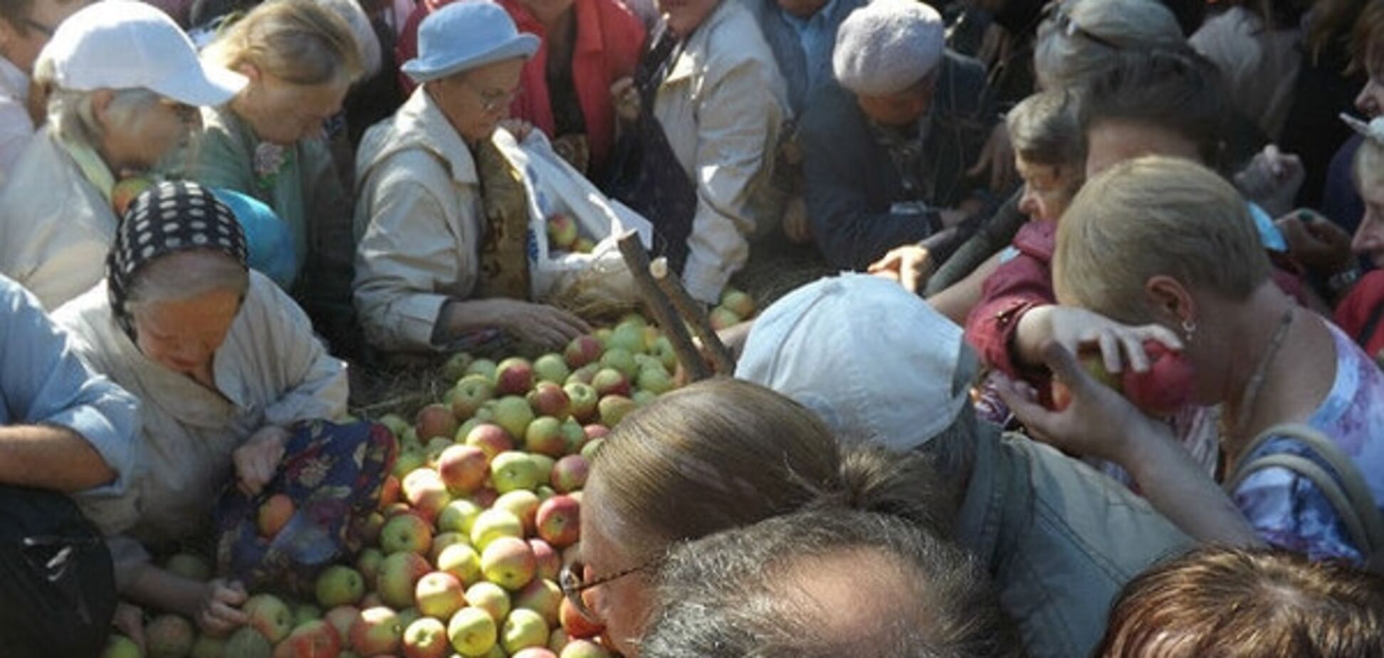Яблочный спас 'по-питерски': горожане разобрали 2 тонны фруктов за 15 минут