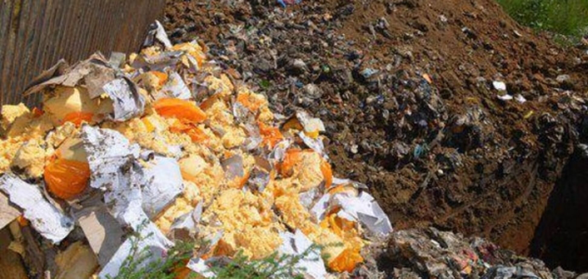 'Антисанкції: пали імпорт!' Google 'потролив' росіян новою грою для Android