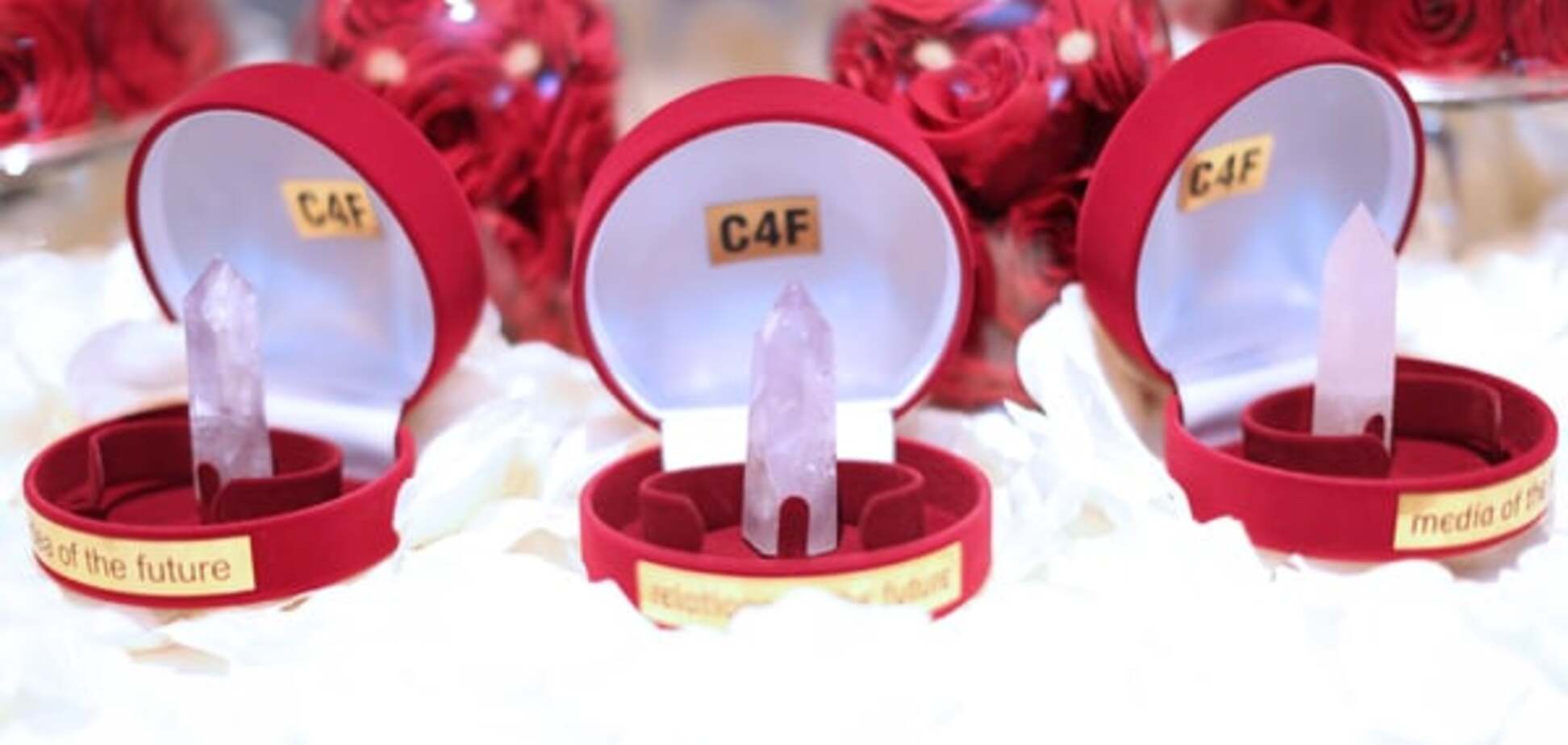 Объявлен перечень номинантов от Украины на престижную международную награду C4F Award