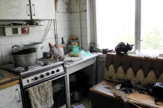 В Киеве дети живут в квартире со 'стаей' собак и котов: фотофакт