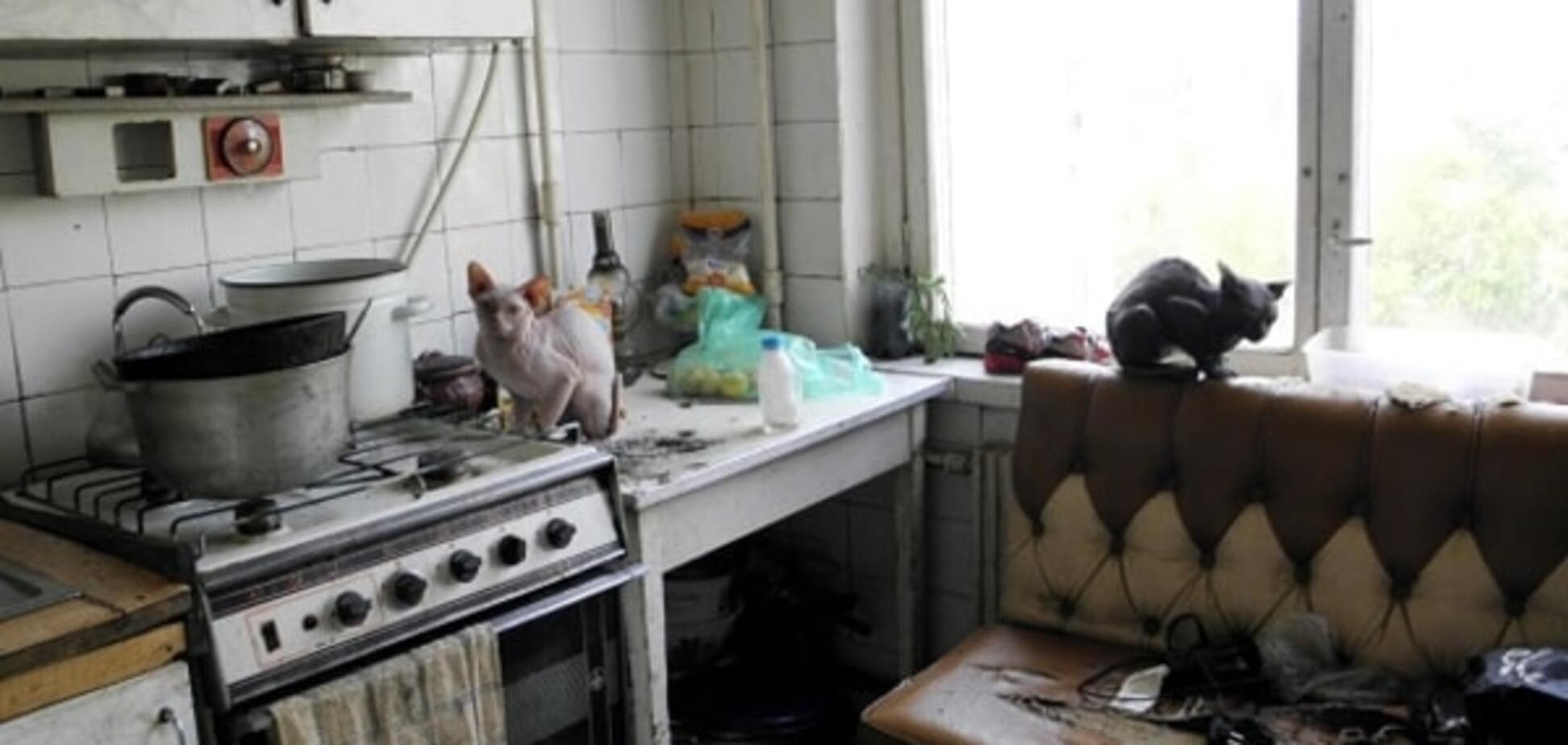 В Киеве дети живут в квартире со 'стаей' собак и котов: фотофакт