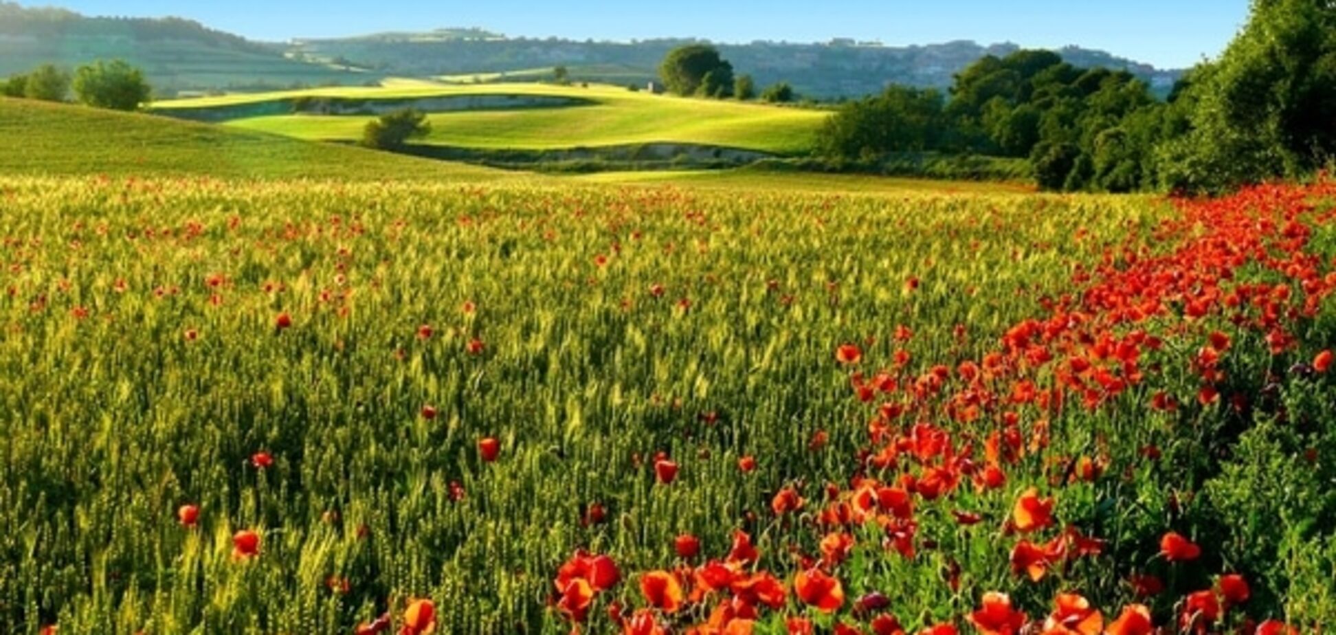 Кульбида: Украина превращается в Грецию, украинские степи – в субтропики