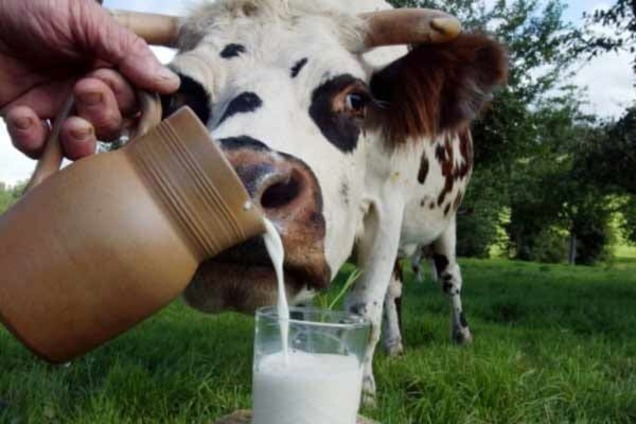 Молочные 'террористы': На Черниговщине селяне захватили молоковоз